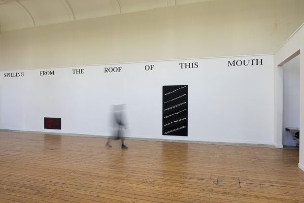 Novel Tongues installation view