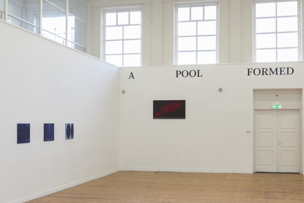 Novel Tongues installation view